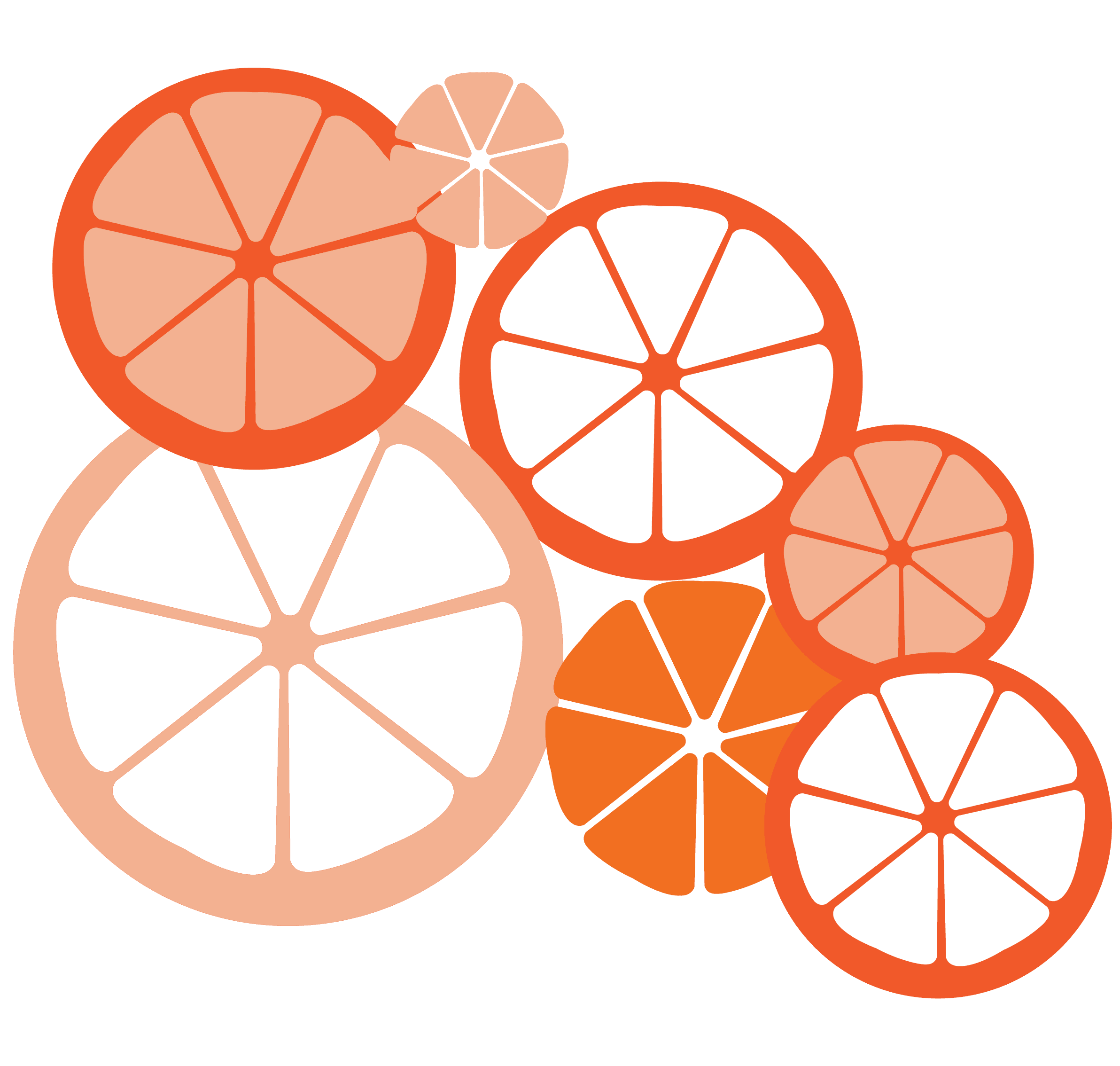 Club Orange – image 5